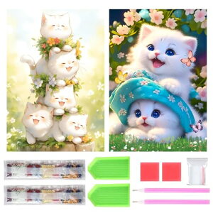 TRX _ChA[g Lbg _Ch̊G 2Zbg ꂢ Sʓ\t _ChA[g 5D S l̎q DIY