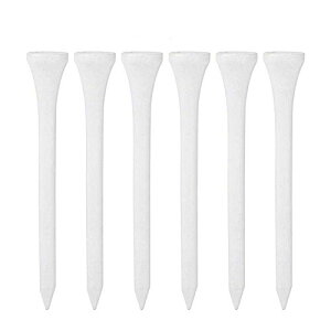 100St eB[ 70mm ؐ EbhSteB[ Stpi Ry  OeB[ EbheB[ ڐt St eB