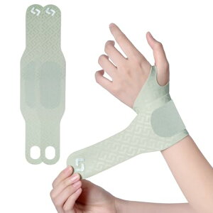 2 T|[^[^0.99MM yʂŏ_炩F ֐ Œ ی  T|[^[  ی h~ pT|[^[y 