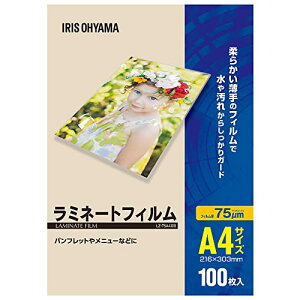 ACXI[}(IRIS OHYAMA) ~l[gtB A4 100 75 LZ-75A4100