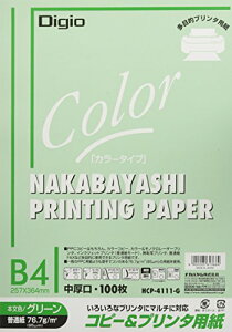 iJoV Rs[p J[^Cv 100 B4 O[ HCP-4111-G