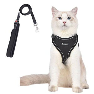 L Lp n[lX  L ˂ lR qL q ^ U o Ȃ xXg \tg y ʂ}WbNe[v