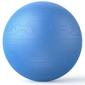 PROIRON �o�����X�{�[�� 65cm �΂�񂷂ځ[�� �g���[�j���O�K�C�h�p�^�[���t�� ���� �W���{�[�� �o�����X�{�[�� �֎q �X�|�[�c �ω�