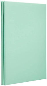 iJoV t[Ao XEB[gJ[Y 100N䎆A4 u[ AH-A4F-142-B