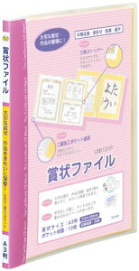 CC ܏t@C A3 sN LSB101P