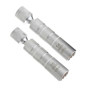 TRX vO` Xp[NvO` jo[T\Pbg 360x] 12p p3/8 }Olbgt vO` (16m