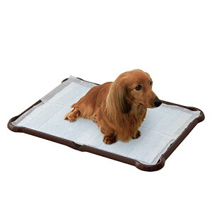 ACXI[}  gC V[c҂ƃg[ Ch uE P-SPTW