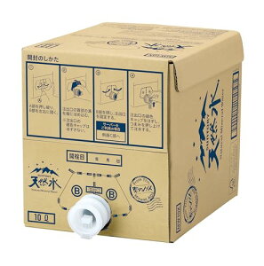 Tg[ VR10L obOC{bNX ֌t