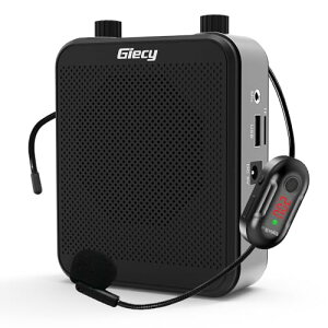 Giecy g CXg g |[^u ^Kz30W 2800mAh USB microSD Ή gnYt