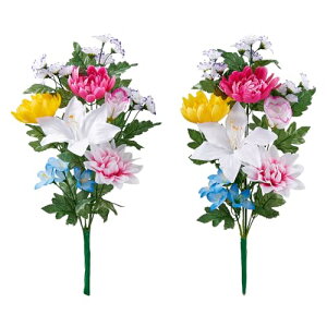 ACfBA(Aimedia) Edp  2g 45cm     sv ͂Ȃ  t[f