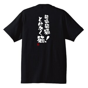 yTVcz uLLLLAƂɂLIv MTVc ʔTVcł iȐnƋzhCnIׂ܂ J[̓zCg/ubN wɕM/ɔw