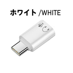 Type-C to Lightning ϊA_v^[ CzWbN ϊ I[fBI A_v^ LightningCz Type-C[q ڑ ϊP[u yĐ ʘb }CN  R  Ή X}[gmCYL