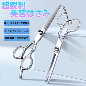 e͂ 2{Zbg vdl s ΂ + ؂͂ ZtJbg OT|[^[@\t XeX wAJbg U ƒp ei \O XgXX ̋Z