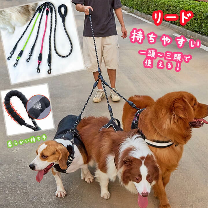 楽天市場】2C11リード 犬 多頭用 引きリード 犬用 中・大型犬用 超大型 