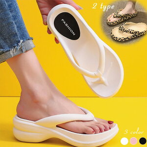  T_ gO T_ ~J Ip[hV[Y r[`T_ r ~ Vv fB[X s C  v[ s t ؍t@bVyz