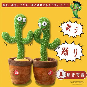 SNSŘb  x T{e ťJԂ LEDƖ USB p̉̕t y m ߋ  toy talking Ԃ xr[ LbY q ̎q j̎q VFCN _VO JN^X ʂ