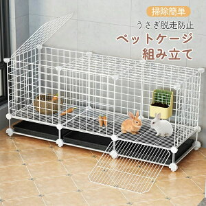 ybgP[W LbgP[W ETM P[W eP[W ETM OtP[W LX^[t   xe Eh~ WCg gݗ  yb