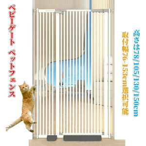 xr[Q[g ybgQ[g ybgtFX nC^Cv i76-150cmI\jit76-153cmI\j g\ Jsv  LщzEoh~ tȒP_ubN 