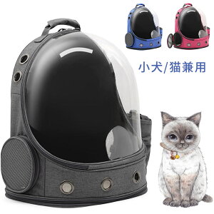 @ybg obO ybgpL[obO @@ybgobO Lp L jR  ybgpi bNTbN@ʋCQ L/^p hCu/s/ʉ@/oR/ЊQ