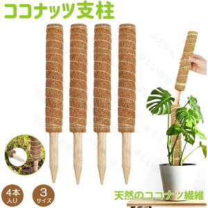 RRXeBbN 4_Zbg Xex ϗtA x |x A K[fjOp Ԃ RRibcx AT|[g 鐫A g}g |gX |p |xp[c 