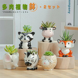 2�Z�b�g �@�A�ؔ� �Z���~�b�N�X�����A���� ������� �Z�����g�� ���킢�������T�{�e���� �� ��^ �v�����^�[ ���킢�� �ꌊ�t�� �O���[ 2���� �C���e���A ���� ��� ���� ��̓��M�t�g