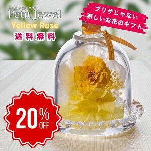 yX[p[Z[Ԃ̂20OFFzv`WG CG[[Y {gt[vU[uht[ v[g  o a Mtg   ͂Ȃ  a ސE  