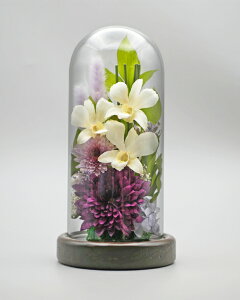 ݂䂤 {gt[ Zbg vU[uht[   o ~j җj   L  j ԍ    CG[ F Ǌ| Ď  j e Mtg  