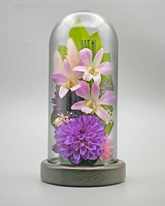 ݂䂤 {gt[ Zbg vU[uht[   o ~j җj   L  j ԍ    CG[ F Ǌ| Ď  j e Mtg  