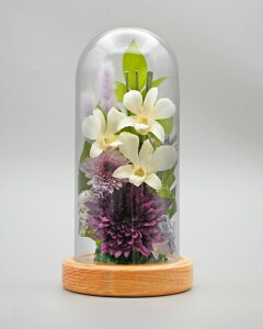 ݂䂤 {gt[ Zbg vU[uht[   o ~j җj   L  j ԍ    CG[ F Ǌ| Ď  j e Mtg  