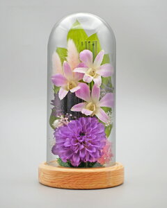 ݂䂤 {gt[ Zbg vU[uht[   o ~j җj   L  j ԍ    CG[ F Ǌ| Ď  j e Mtg  