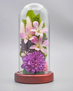 ݂䂤 {gt[ Zbg vU[uht[   o ~j җj   L  j ԍ    CG[ F Ǌ| Ď  j e Mtg  