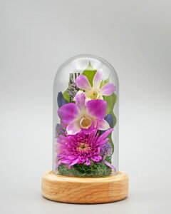 ݂䂤 {gt[ Zbg vU[uht[   o ~j җj   L  j ԍ    CG[ F Ǌ| Ď  j e Mtg  