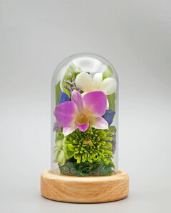 ݂䂤 {gt[ Zbg vU[uht[   o ~j җj   L  j ԍ    CG[ F Ǌ| Ď  j e Mtg  