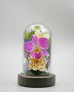 ݂䂤 {gt[ Zbg vU[uht[   o ~j җj   L  j ԍ    CG[ F Ǌ| Ď  j e Mtg  