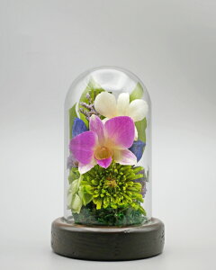 ݂䂤 {gt[ Zbg vU[uht[   o ~j җj   L  j ԍ    CG[ F Ǌ| Ď  j e Mtg  