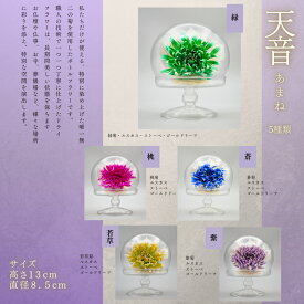 あまね ボトルフラワー セット プリザーブドフラワー 仏花 お供え バラ ミニ 還暦祝い 赤 犬 猫 命日 結婚祝い 花材 青 一輪 喜寿 イエロー 黄色 壁掛け 米寿 うさぎ お祝い 母親 ギフト 女性 開業祝い 喜寿花 クリスマス クリスマスリース 傘寿 傘寿祝い 和 仏壇