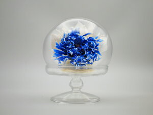 ܂ {gt[ Zbg vU[uht[   o ~j җj   L  j ԍ    CG[ F Ǌ| Ď  j e Mtg  