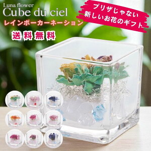 zB LufVF {gt[vU[uht[ v[g  o a Mtg   ͂Ȃ  a ސE  j uU[ht[ KX a 