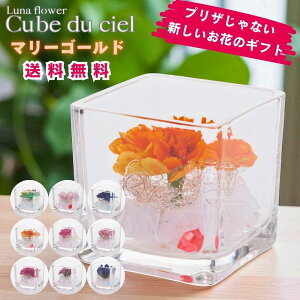 zB LufVF {gt[vU[uht[ v[g  o a Mtg   ͂Ȃ  a ސE  j uU[ht[ KX a 