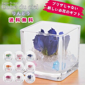 zB LufVF {gt[vU[uht[ v[g  o a Mtg   ͂Ȃ  a ސE  j uU[ht[ KX a 