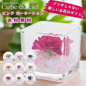 zB LufVF {gt[vU[uht[ v[g  o a Mtg   ͂Ȃ  a ސE  j uU[ht[ KX a 