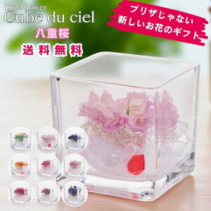 zB LufVF {gt[vU[uht[ v[g  o a Mtg   ͂Ȃ  a ސE  j uU[ht[ KX a 