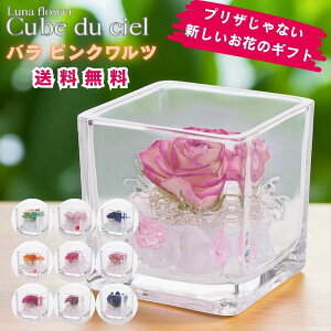 zB LufVF {gt[vU[uht[ v[g  o a Mtg   ͂Ȃ  a ސE  j uU[ht[ KX a 