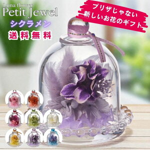 zB v`WG {gt[vU[uht[ v[g  o a Mtg   ͂Ȃ  a ސE  j uU[ht[ KX a j