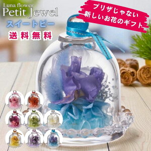 zB v`WG {gt[vU[uht[ v[g  o a Mtg   ͂Ȃ  a ސE  j uU[ht[ KX a j