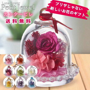 zB v`WG {gt[vU[uht[ v[g  o a Mtg   ͂Ȃ  a ސE  j uU[ht[ KX a j