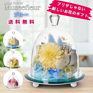 zB~[t[ {gt[vU[uht[ v[g  o a Mtg   ͂Ȃ  a ސE  j uU[ht[ KX a 