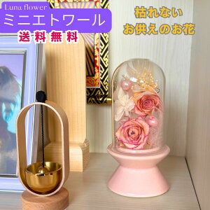 zB ~j Gg[ {gt[vU[uht[ v[g  o a Mtg   ͂Ȃ  a ސE  j uU[ht[ KX a 