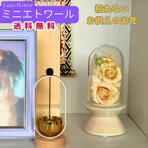 zB ~j Gg[ {gt[vU[uht[ v[g  o a Mtg   ͂Ȃ  a ސE  j uU[ht[ KX a 