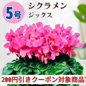 y200~N[|ΏۏizVN WbNX 5  6 A 5 6  sN 񂹐A A    Mtg Ε Ε a NX}X   ސEj J